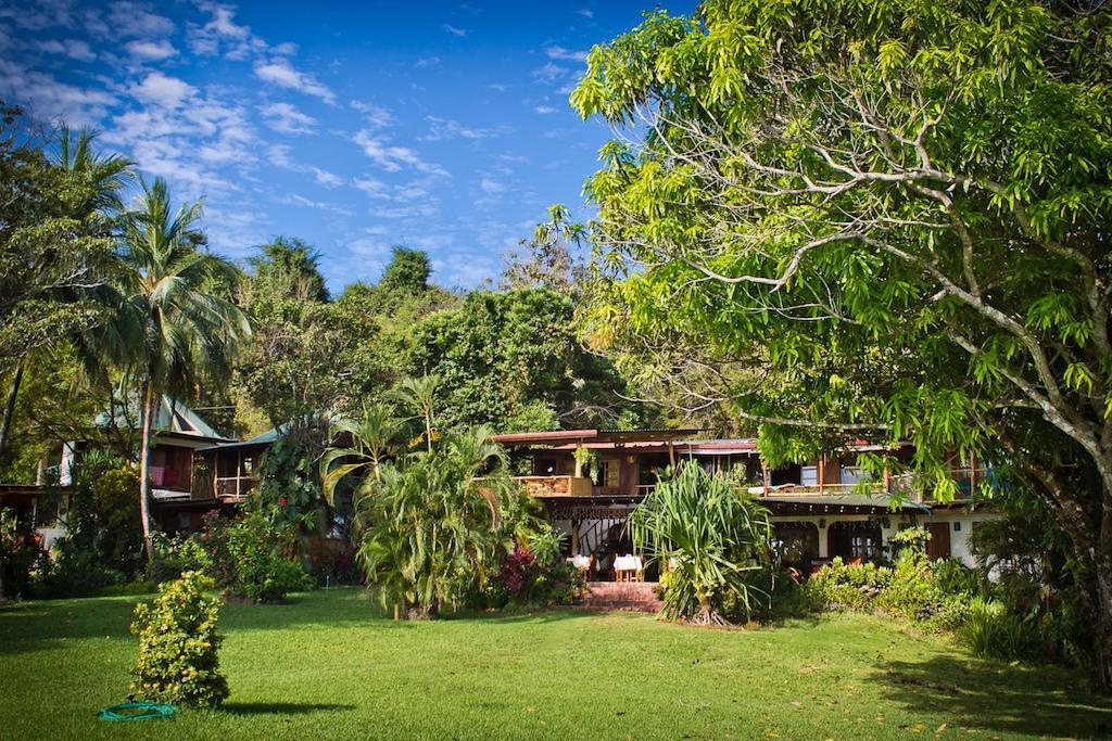 Hotel Amor De Mar Montezuma Ngoại thất bức ảnh